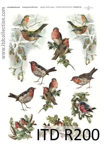 Papier ryżowy A4 ITD R0200 do decoupage zimowe ptaki