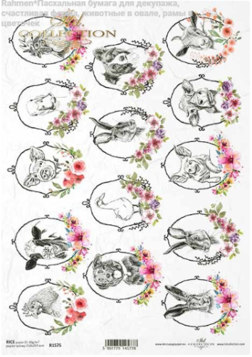 Papier ryżowy A4 ITD R1575 do decoupage zwierzęta