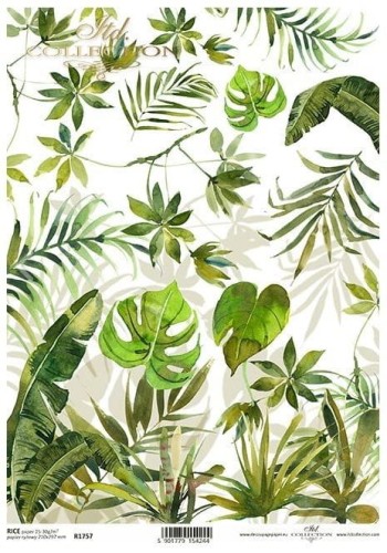 Papier ryżowy A4 ITD R1757 do decoupage liście
