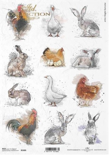 Papier ryżowy A4 ITD R1686 do decoupage zwierzęta