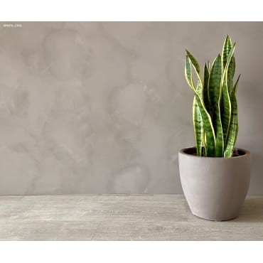 Fleur Lime 2,5 l Indian elephant farba wapienna limewash