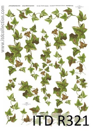 Papier ryżowy A4 ITD R321 do decoupage bluszcz