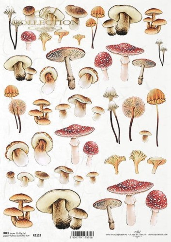 Papier ryżowy A4 ITD R2121 do decoupage grzyby