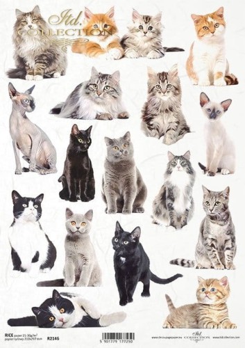 Papier ryżowy A4 ITD R2146 do decoupage koty