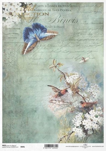Papier ryżowy A4 ITD R0976 do decoupage motyl napisy