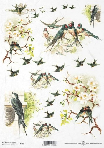 Papier ryżowy A4 ITD R0673 do decoupage ptaki