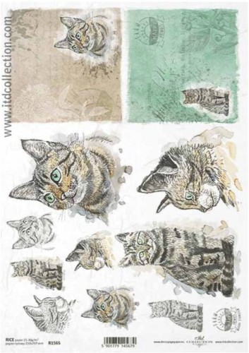Papier ryżowy A4 ITD R1565 do decoupage kot