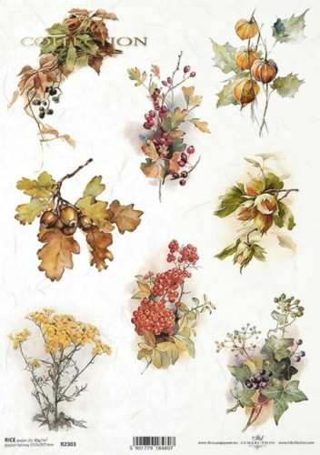 Papier ryżowy A4 ITD R2303 do decoupage jesień
