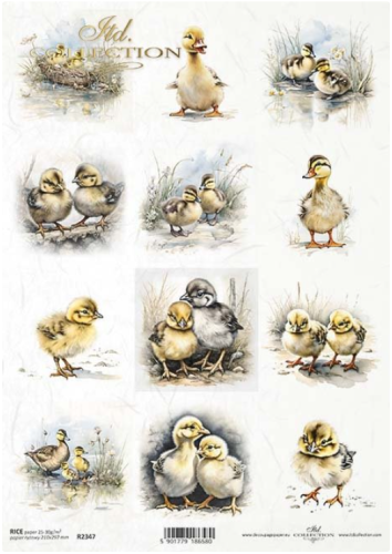 Papier ryżowy A4 ITD R2347 do decoupage kaczuszki wiosna