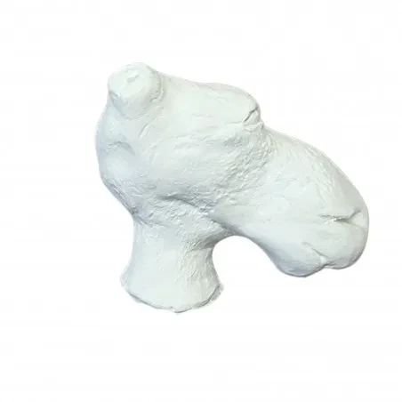 Głowa gipsowa do Powertex - łoś