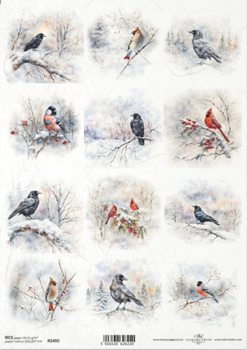 Papier ryżowy A4 ITD R2490  do decoupage ptaki