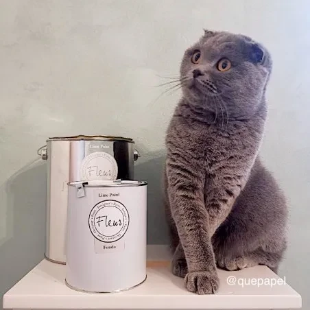 Fleur Lime 2,5 l Malmo Green farba wapienna Limewash