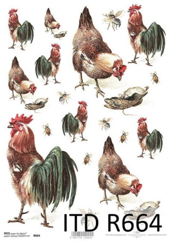 Papier ryżowy A4 ITD R0664 do decoupage kury kogut