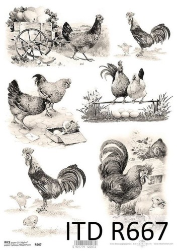 Papier ryżowy A4 ITD R0667 do decoupage kury